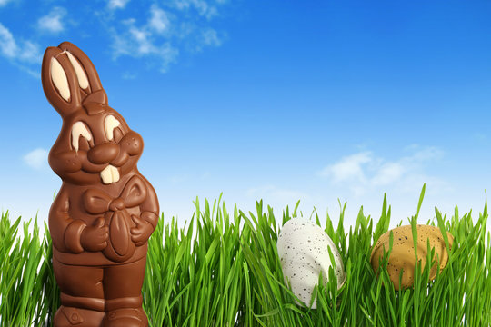 lapin de p&acirc;ques