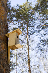 starling-house on a trunk of tree
