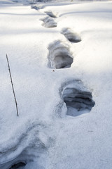 human footprint in the deep multi-layer snow