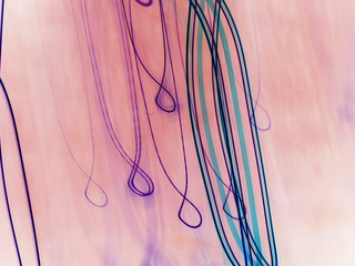 Obraz na płótnie Canvas motion abstraction