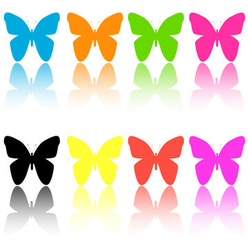 papillons colorés et reflets