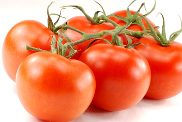 tomato sixpack