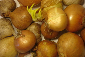 onion'n'garlic