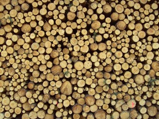 holzstapel 9