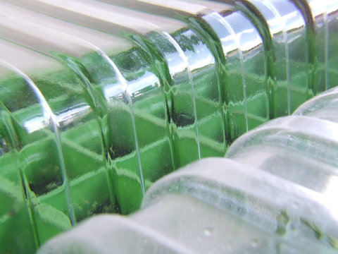 propagation trays