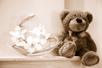 teddy bear - 2699915