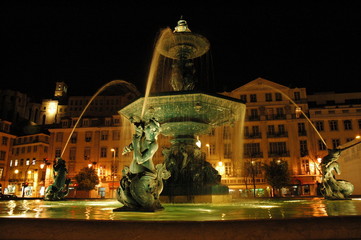 Fototapeta premium 1419