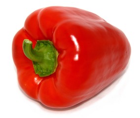 poivron rouge