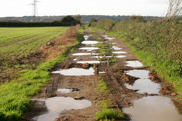 muddy country path with big puddles