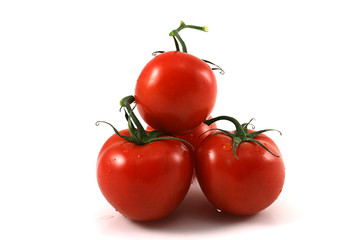 red tomatoes on a white background