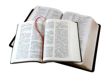 bible in different languages, isolated on white