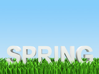 white word "spring" on herb on turn blue background