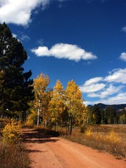 Fototapeta premium Autumn Country Dirt Road in Colorado