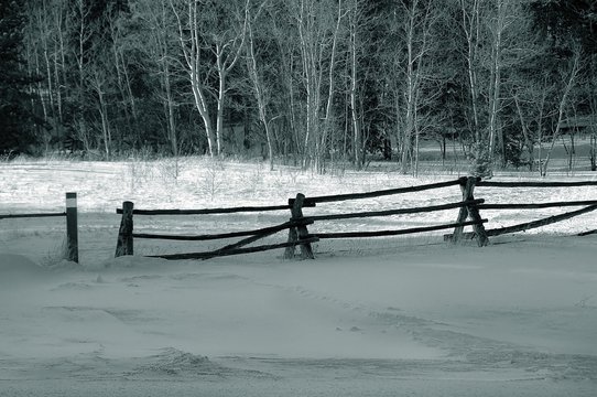 Fence With Snow In Black And White