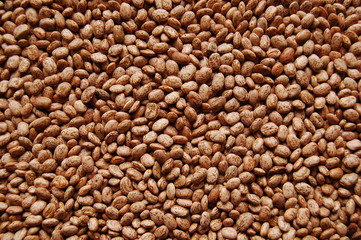 bean texture