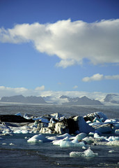 icebergs with the glacier in the distance
