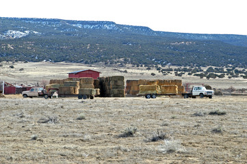 Naklejka premium ranch hay iii