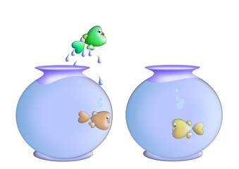 love without borders