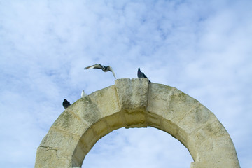 l'arche aux pigeons