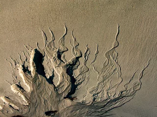 Foto auf Acrylglas raggi di sabbia © izzog