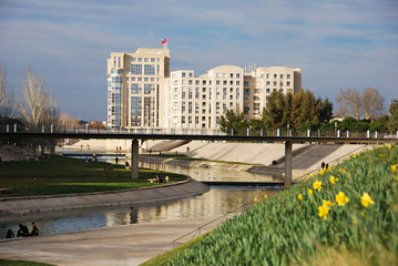 berges du lez avec fleurs jaunes