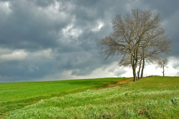 giboulets de mars © Photo Passion