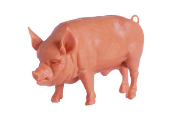 pig