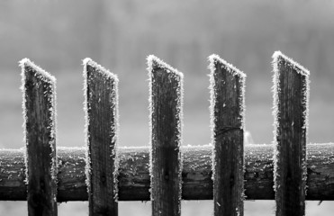 teeth of winter