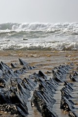 rocks at the atlantic ocean