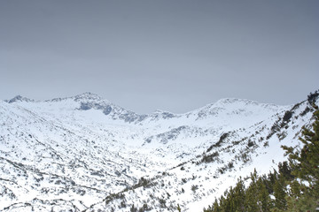 winter scene from national park pirin