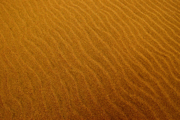 ripples in the sand