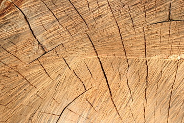 wood texture