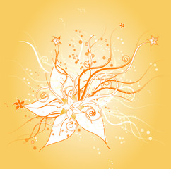 background - flower - beauty