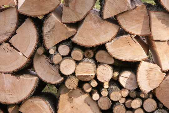st&egrave;re de bois