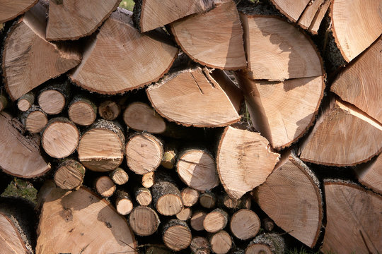 st&egrave;re de bois