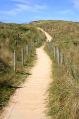 Fototapeta na wymiar path to the beach, cornwall, uk