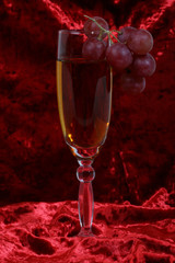 glass with white wine and a grapevine on it