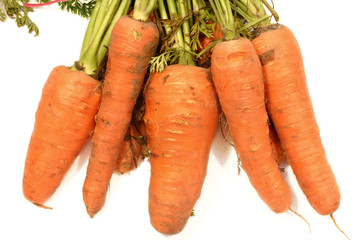 farm carrots