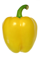 yellow pepper