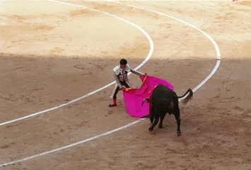 Fotobehang Stierenvechten matador and bull  © BorisNoWorries