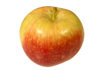 english apple isolated on a white background