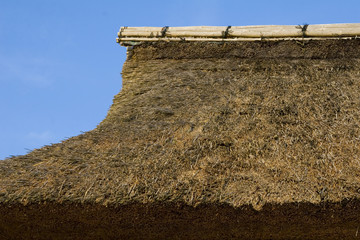 thatched roof