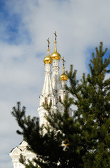 domes of church in vasma