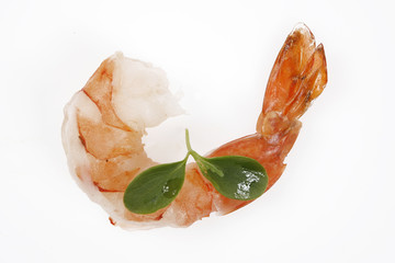 shrimp