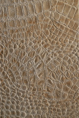 crocodile leather