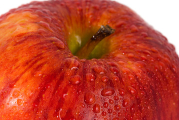 red apple with water drops