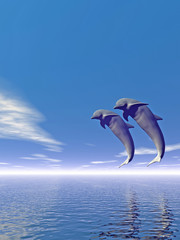 jump_dolphin3_v