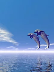 Cercles muraux Dauphins jump_dolphin3_v