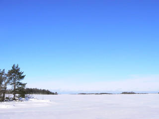 icy landscape