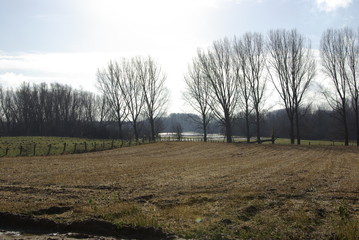 niederrheinische ladschaft